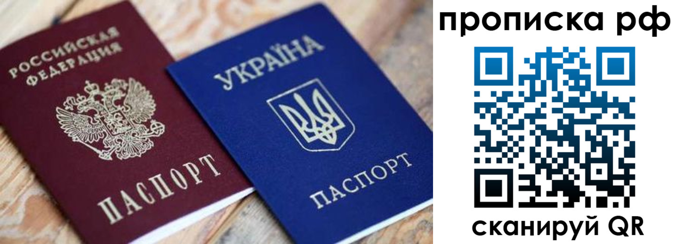 прописка поиск в Палласовке