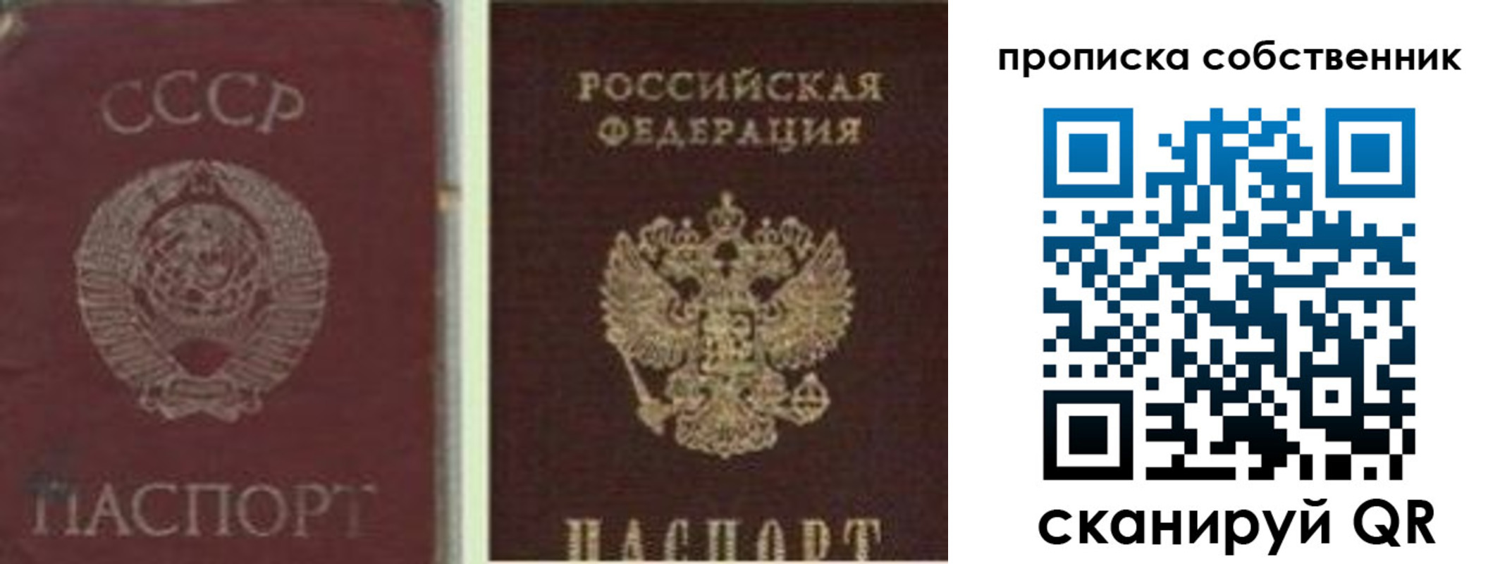 прописка 2025 в Палласовке