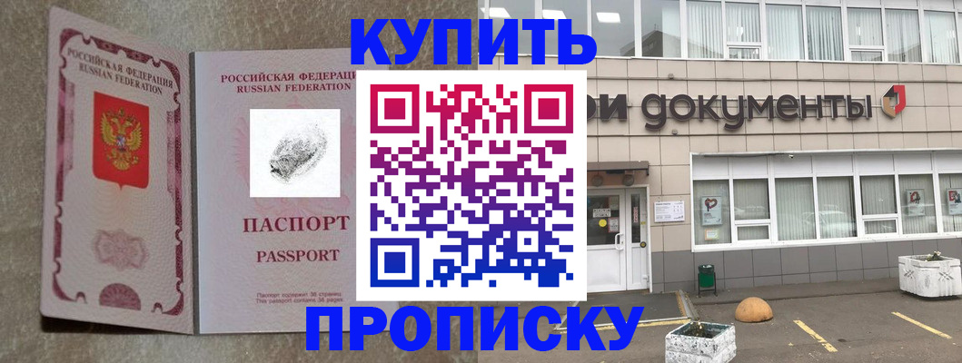 временная регистрация гарантия в Палласовке